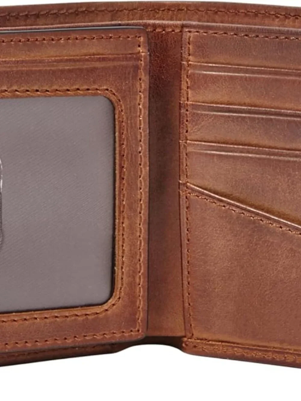 Fossil item description